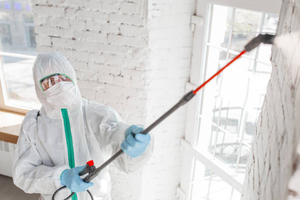 Best Mold Removal for HVAC Installations  in Batesville, IN