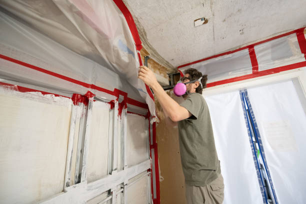Best Mold Remediation for Healthcare Facilities  in Batesville, IN