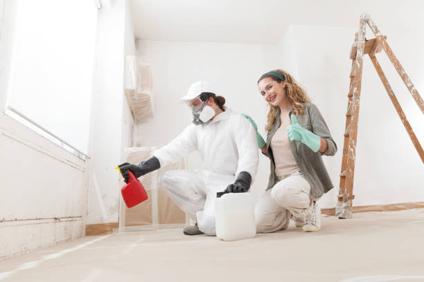 Best Asbestos and Lead Testing During Mold Inspection  in Batesville, IN